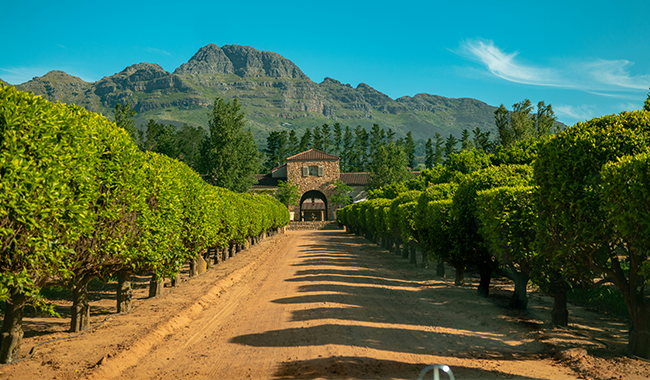 a dirt road surrounded by trees and mountains