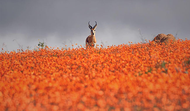 @gigskyinc Photo by GigSky in Namaqualand_