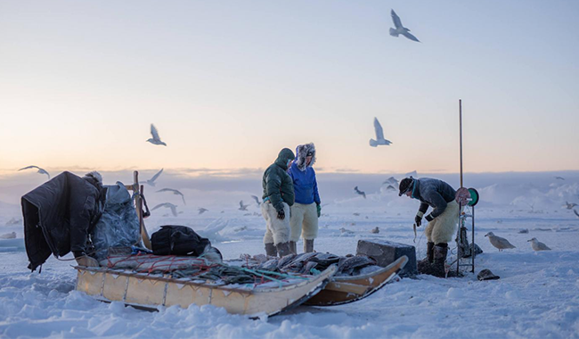 5f93bb5d-29f2-4224-88c4-e1c9e3513079 5f93bb5d-29f2-4224-88c4-e1c9e3513079