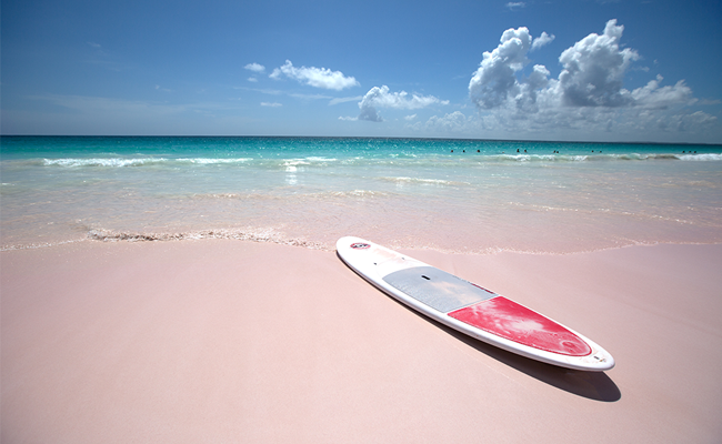 粉色沙滩 粉色沙滩