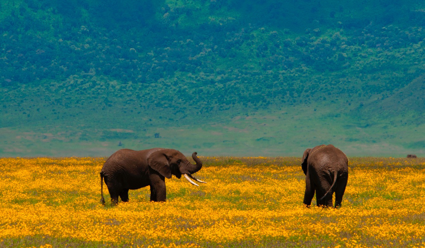 微信图片_20251031172457_636_58