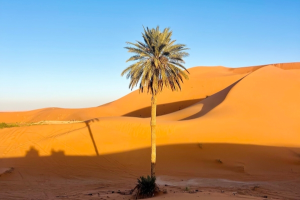 Instagram_2029551184_Abdillah_Salim_Travel_Photography_1760556050_1_副本