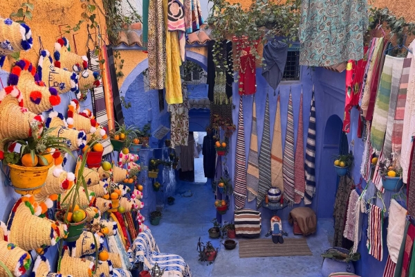 Instagram_16144808194__1761241107_1_副本