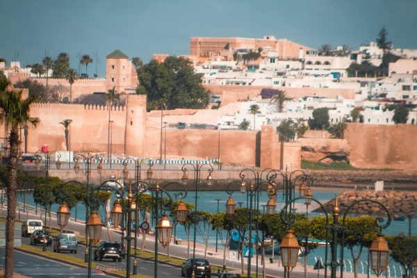 pexels-ibrahgraphy-13004162_副本