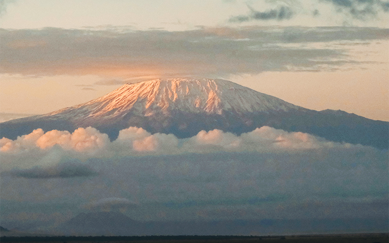 kilimanjaro