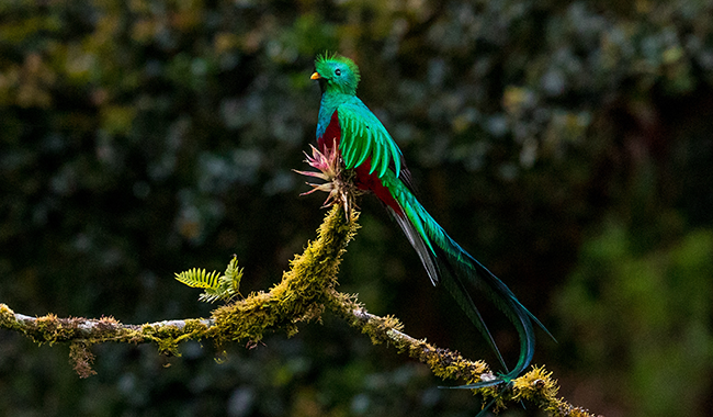 zdenek-machacek-yeqt115Xkeg-unsplash (1) zdenek-machacek-yeqt115Xkeg-unsplash (1)