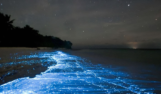 52f9f755-2770-46fc-9260-e38f404282b3 52f9f755-2770-46fc-9260-e38f404282b3