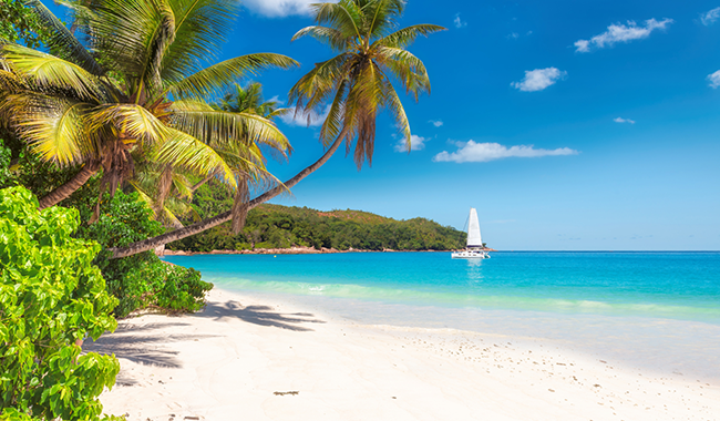 6d80fb24-18a6-4579-bb1b-bbb91c64432f 6d80fb24-18a6-4579-bb1b-bbb91c64432f