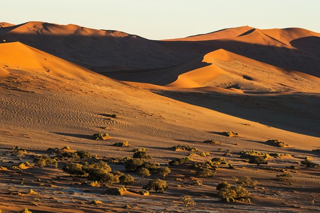 wietse-jongsma-5897lFWZPtg-unsplash (1)