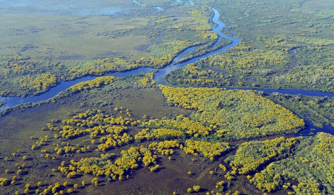 Day 4 潘塔纳尔湿地 Day 4 潘塔纳尔湿地
