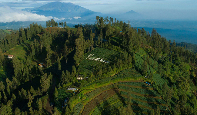 6836d2e2-b233-4c15-8bfb-beb4cfb1b4cf 6836d2e2-b233-4c15-8bfb-beb4cfb1b4cf