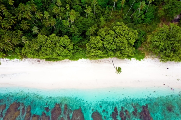 Instagram_811069583_Samoa_Tourism_Authority_1751865964_1_副本 Instagram_811069583_Samoa_Tourism_Authority_1751865964_1_副本