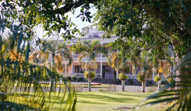 Day 16 拉布多内庄园_副本