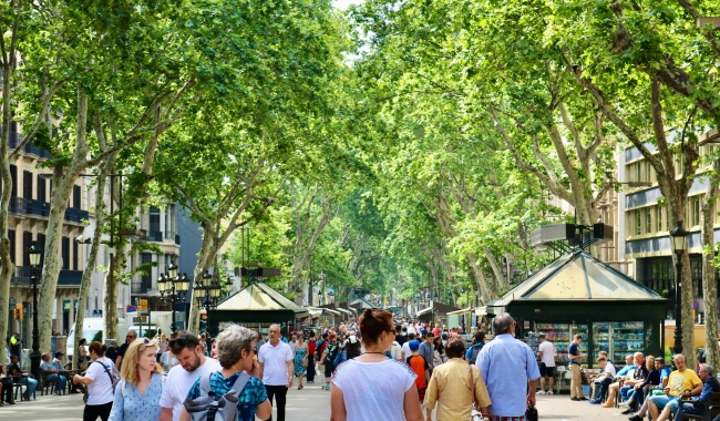 Day 15 兰布拉大道 Day 15 兰布拉大道