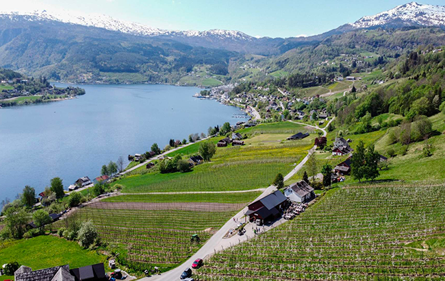 Ulvik