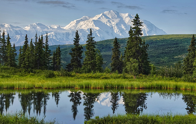 Denali National Park