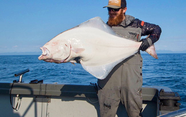Alaskan Halibut