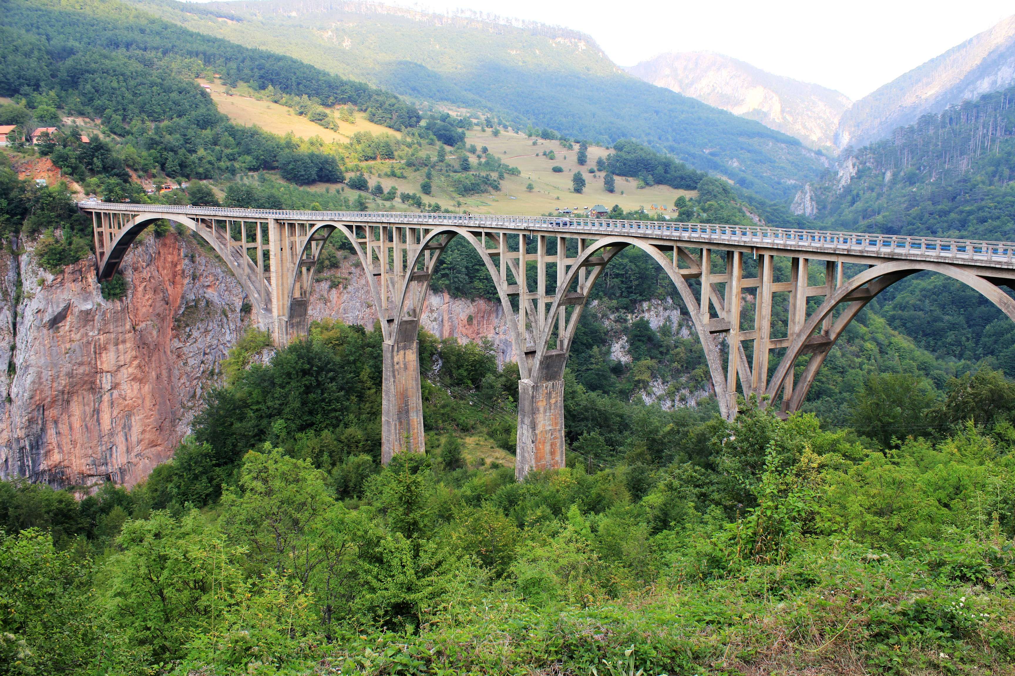 Tara Bridge