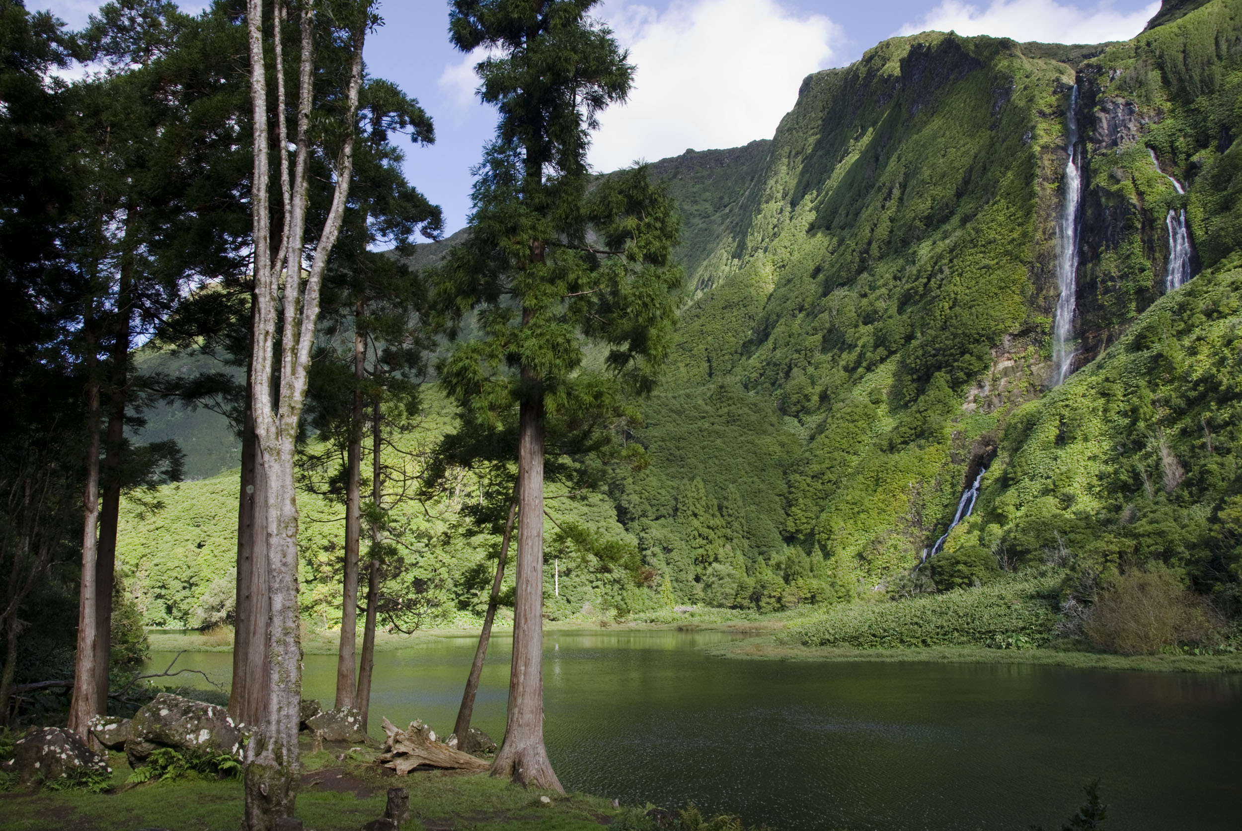 Poço da Ribeira do Ferreiro