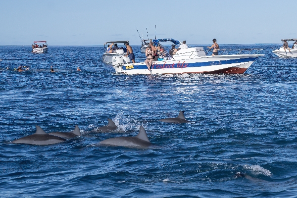 DSC07692_副本 DSC07692_副本