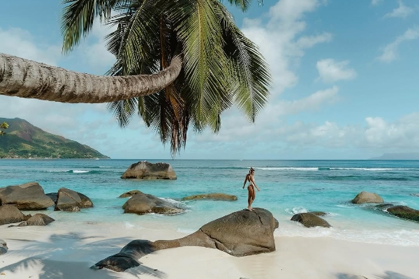 464012082_18001586288692002_3307085185507192595_n_副本 464012082_18001586288692002_3307085185507192595_n_副本