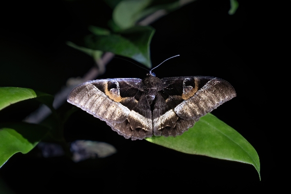 DSC08739_副本 DSC08739_副本