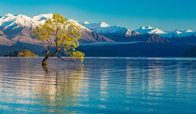 d71df6de-6ab5-407c-b744-48020e49890e d71df6de-6ab5-407c-b744-48020e49890e