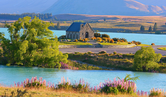 376248d8-a3fe-40d9-b162-51c751c97614 376248d8-a3fe-40d9-b162-51c751c97614