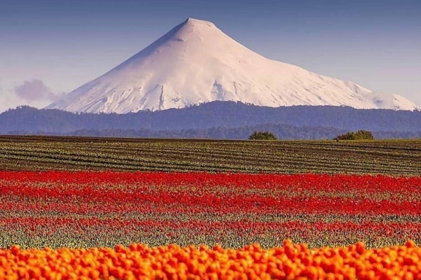 turismo_puertovaras_469348981_18040547669335842_3795823081185787074_n