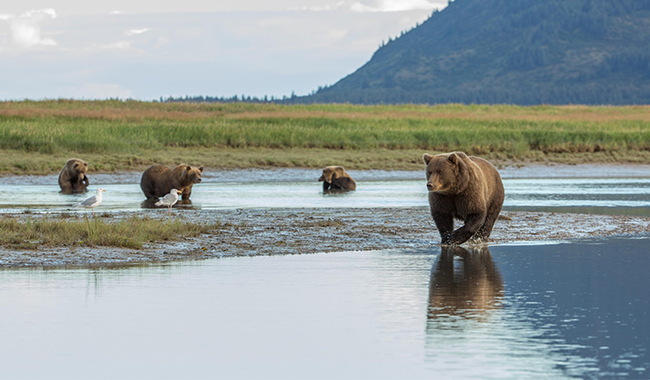 b2bcb554-a1d0-4bc7-bd2c-e128241327b91