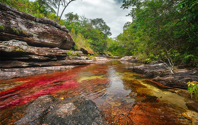 CAÑO_CRISTALES