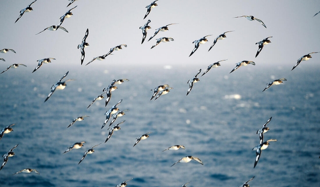 穿越德雷克海峡 穿越德雷克海峡