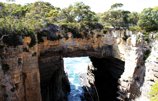 Tasman Arch