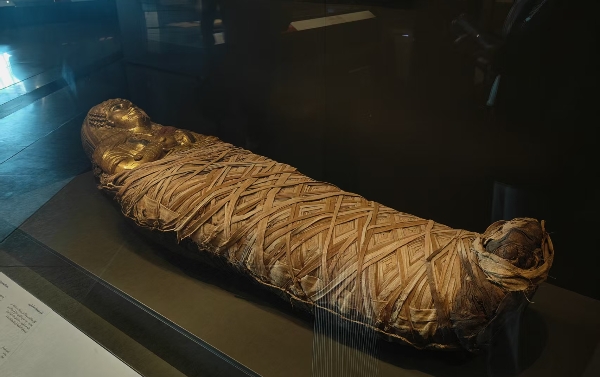 64c6bece25b40a7514453f4842ce76d_副本