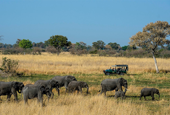 Duke's Camp1 Duke's Camp1